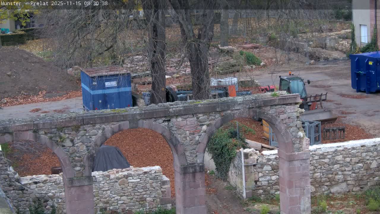 Munster, Ruines de l'Ancienne abbaye Saint Grégoire (Ruins of the Old Abbey of Saint Gregory) & Stork Nest Live Cam - Colmar-Ribeauvillé, Haut-Rhin, Grand Est, France