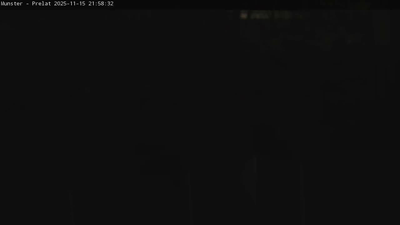 Munster, Ruines de l'Ancienne abbaye Saint Grégoire (Ruins of the Old Abbey of Saint Gregory) & Stork Nest Live Cam - Colmar-Ribeauvillé, Haut-Rhin, Grand Est, France