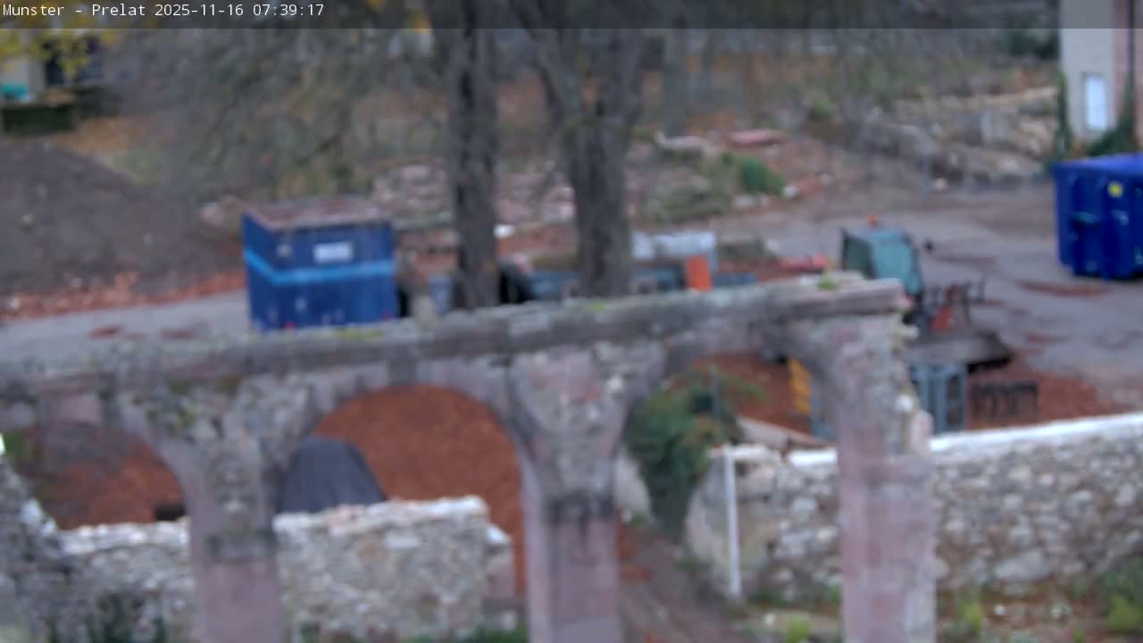 Munster, Ruines de l'Ancienne abbaye Saint Grégoire (Ruins of the Old Abbey of Saint Gregory) & Stork Nest Live Cam - Colmar-Ribeauvillé, Haut-Rhin, Grand Est, France