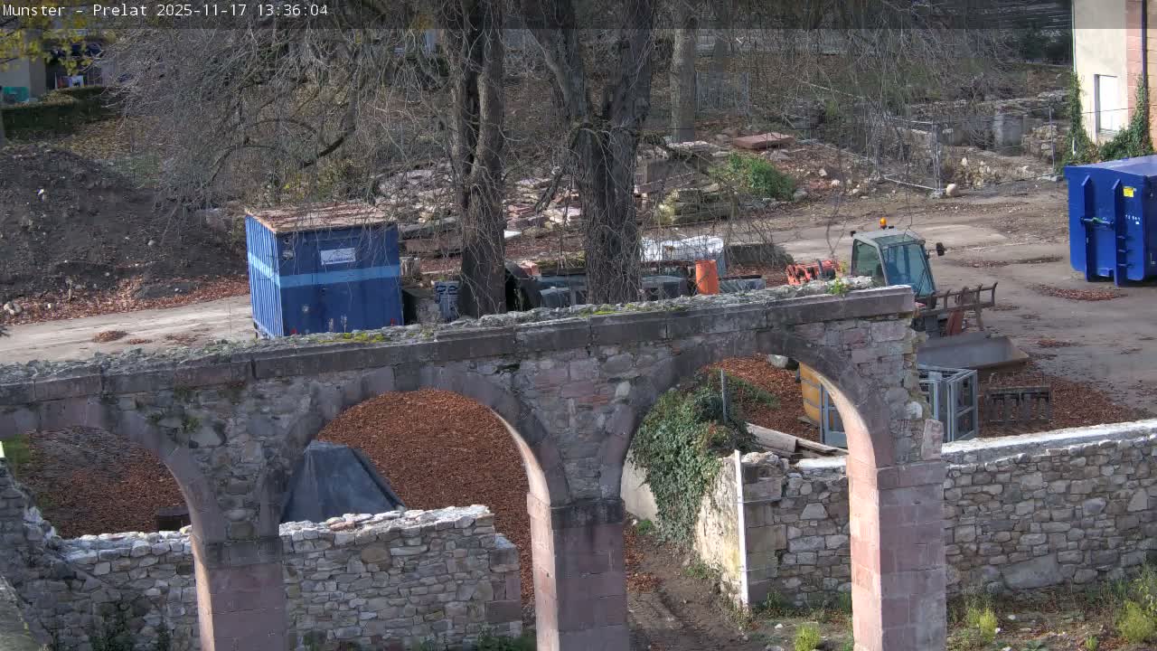 Munster, Ruines de l'Ancienne abbaye Saint Grégoire (Ruins of the Old Abbey of Saint Gregory) & Stork Nest Live Cam - Colmar-Ribeauvillé, Haut-Rhin, Grand Est, France