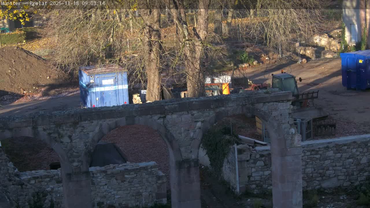 A bird's nest sits atop a stone archway of a ruin on a sunny day, with construction equipment visible nearby.