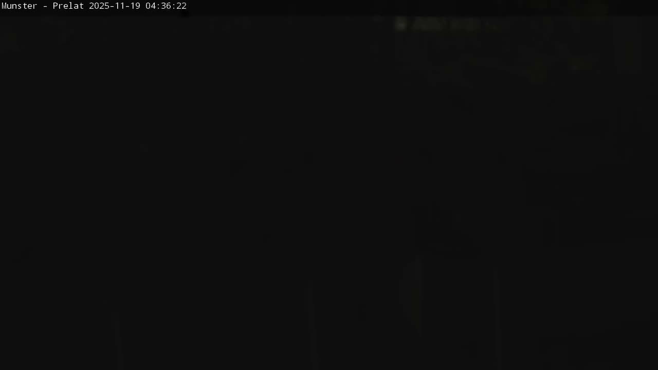 Munster, Ruines de l'Ancienne abbaye Saint Grégoire (Ruins of the Old Abbey of Saint Gregory) & Stork Nest Live Cam - Colmar-Ribeauvillé, Haut-Rhin, Grand Est, France