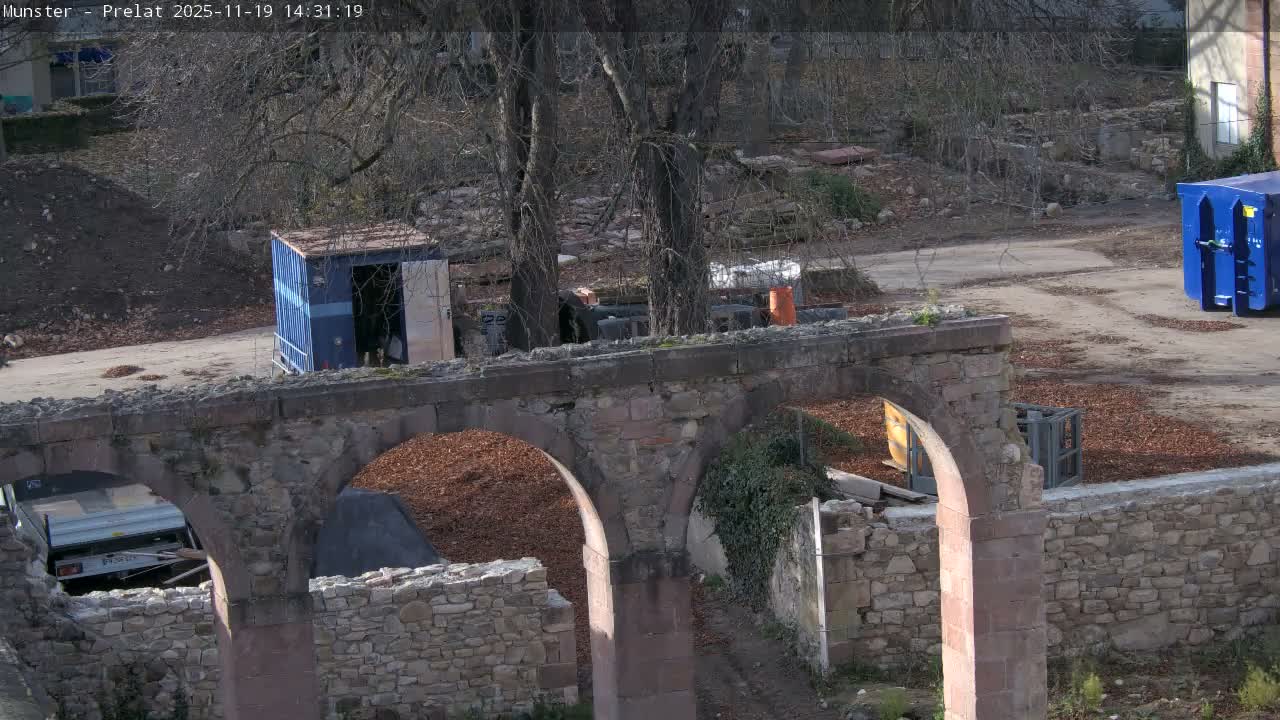 Munster, Ruines de l'Ancienne abbaye Saint Grégoire (Ruins of the Old Abbey of Saint Gregory) & Stork Nest Live Cam - Colmar-Ribeauvillé, Haut-Rhin, Grand Est, France