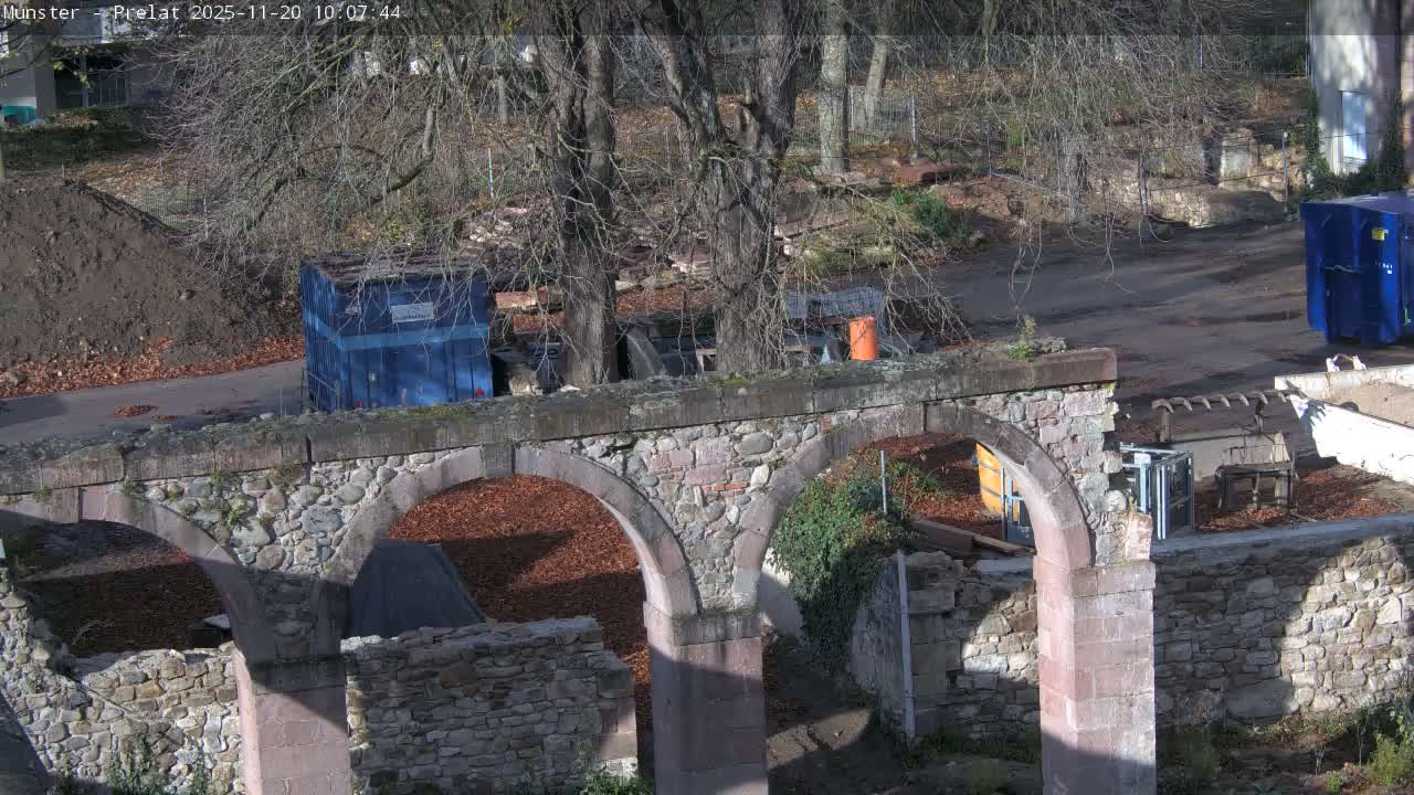 Munster, Ruines de l'Ancienne abbaye Saint Grégoire (Ruins of the Old Abbey of Saint Gregory) & Stork Nest Live Cam - Colmar-Ribeauvillé, Haut-Rhin, Grand Est, France