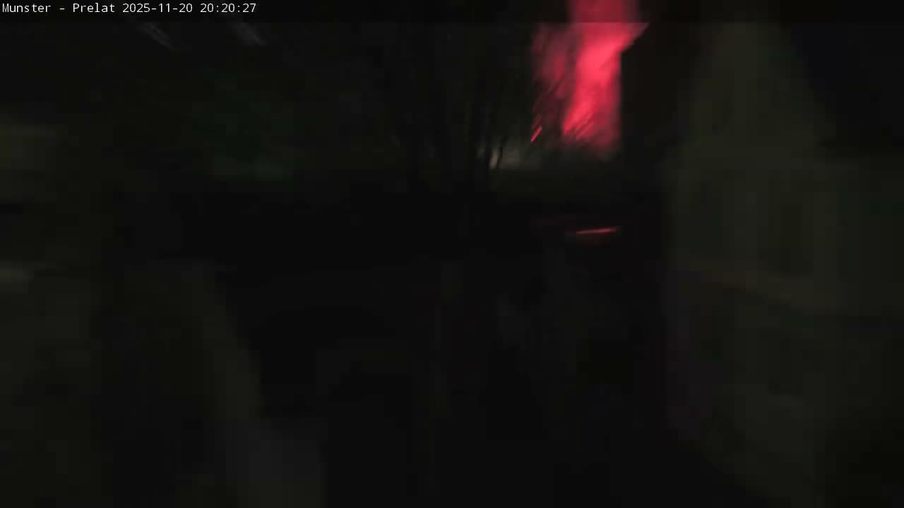 Munster, Ruines de l'Ancienne abbaye Saint Grégoire (Ruins of the Old Abbey of Saint Gregory) & Stork Nest Live Cam - Colmar-Ribeauvillé, Haut-Rhin, Grand Est, France