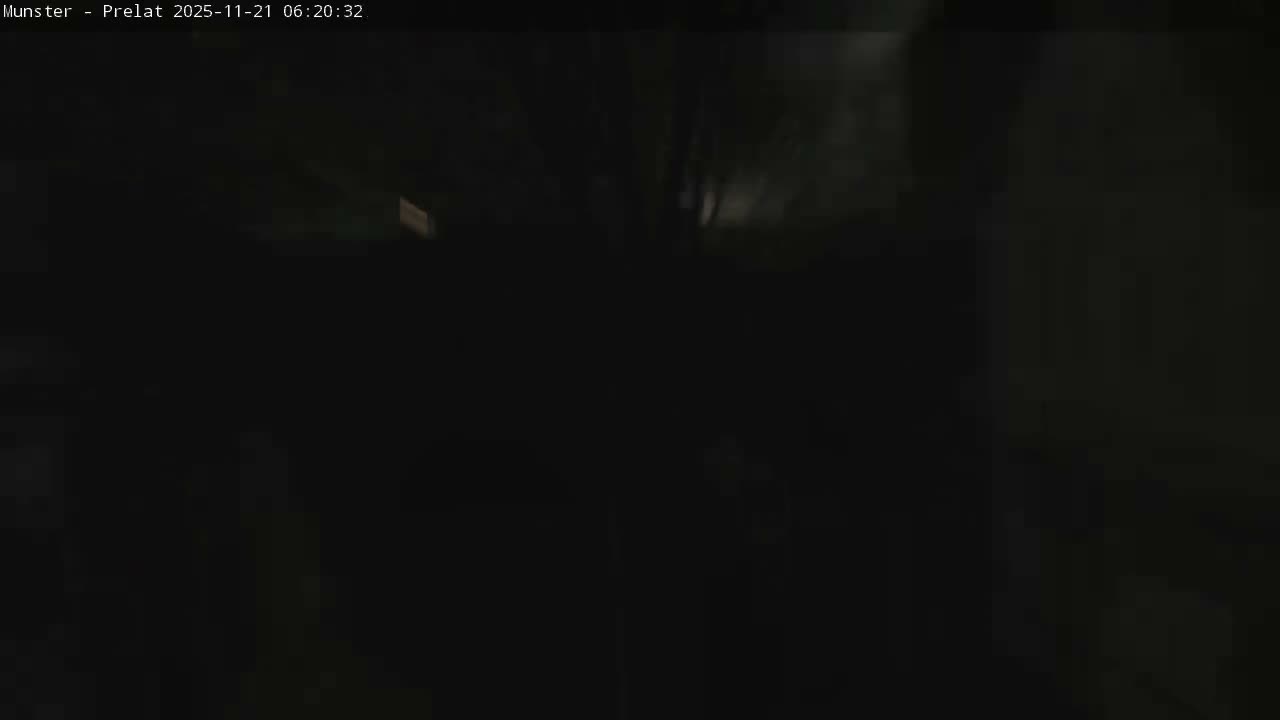 Munster, Ruines de l'Ancienne abbaye Saint Grégoire (Ruins of the Old Abbey of Saint Gregory) & Stork Nest Live Cam - Colmar-Ribeauvillé, Haut-Rhin, Grand Est, France