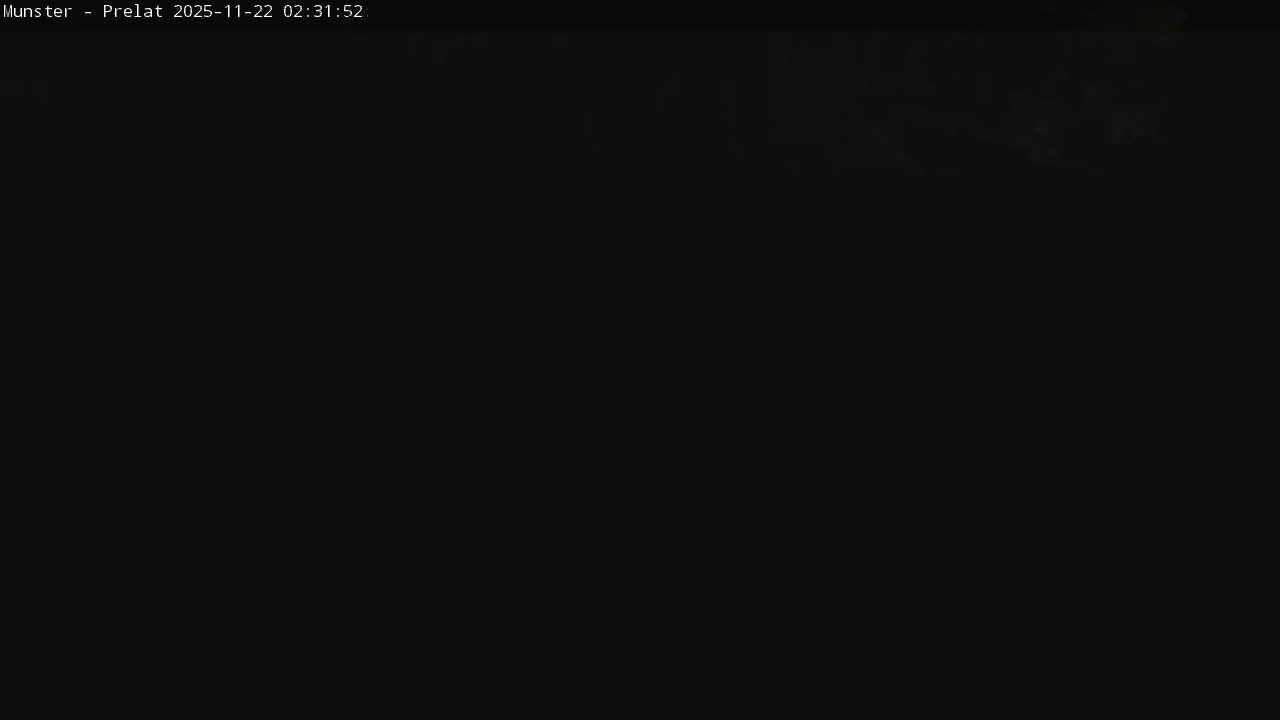 Munster, Ruines de l'Ancienne abbaye Saint Grégoire (Ruins of the Old Abbey of Saint Gregory) & Stork Nest Live Cam - Colmar-Ribeauvillé, Haut-Rhin, Grand Est, France