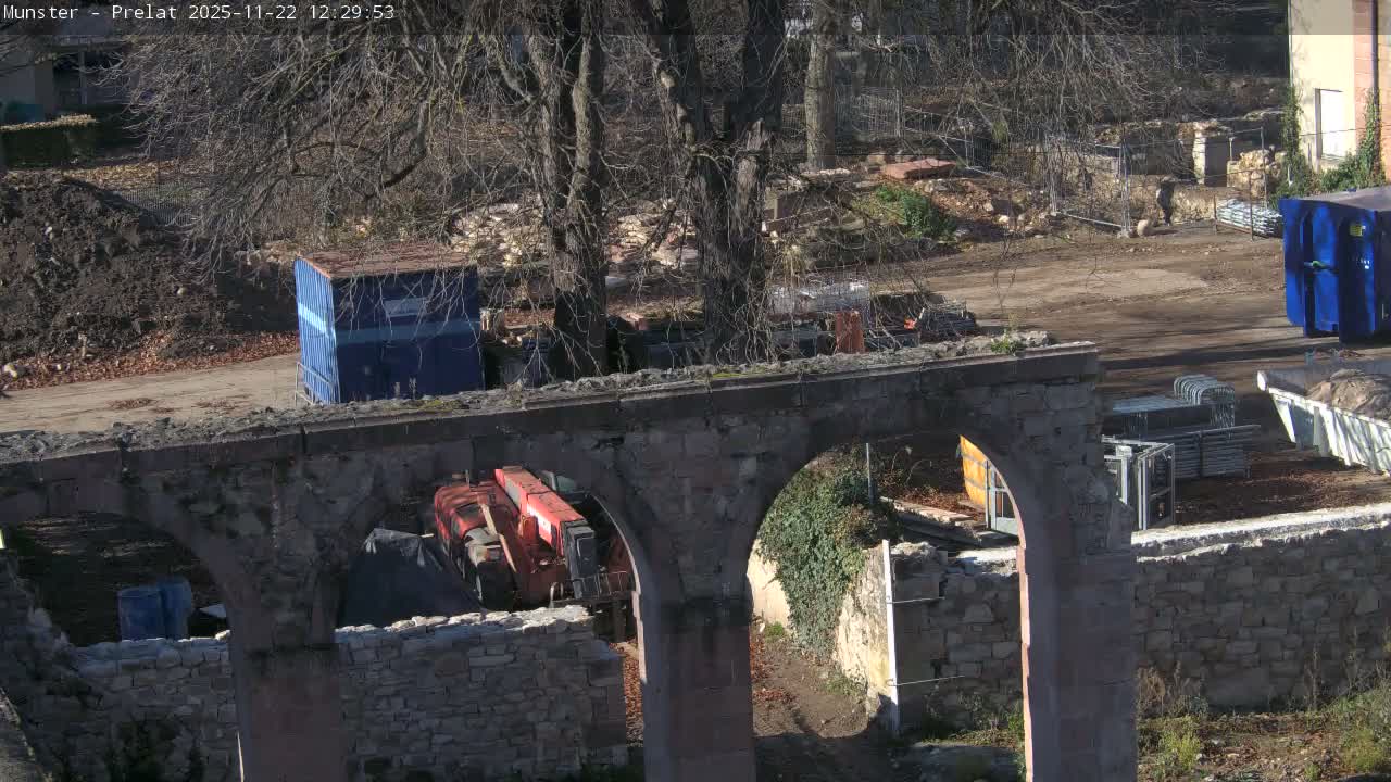 Munster, Ruines de l'Ancienne abbaye Saint Grégoire (Ruins of the Old Abbey of Saint Gregory) & Stork Nest Live Cam - Colmar-Ribeauvillé, Haut-Rhin, Grand Est, France