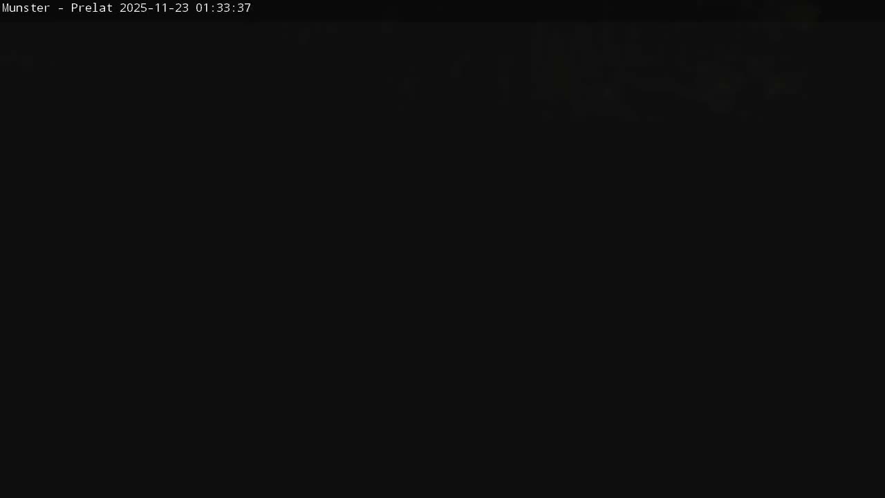 Munster, Ruines de l'Ancienne abbaye Saint Grégoire (Ruins of the Old Abbey of Saint Gregory) & Stork Nest Live Cam - Colmar-Ribeauvillé, Haut-Rhin, Grand Est, France