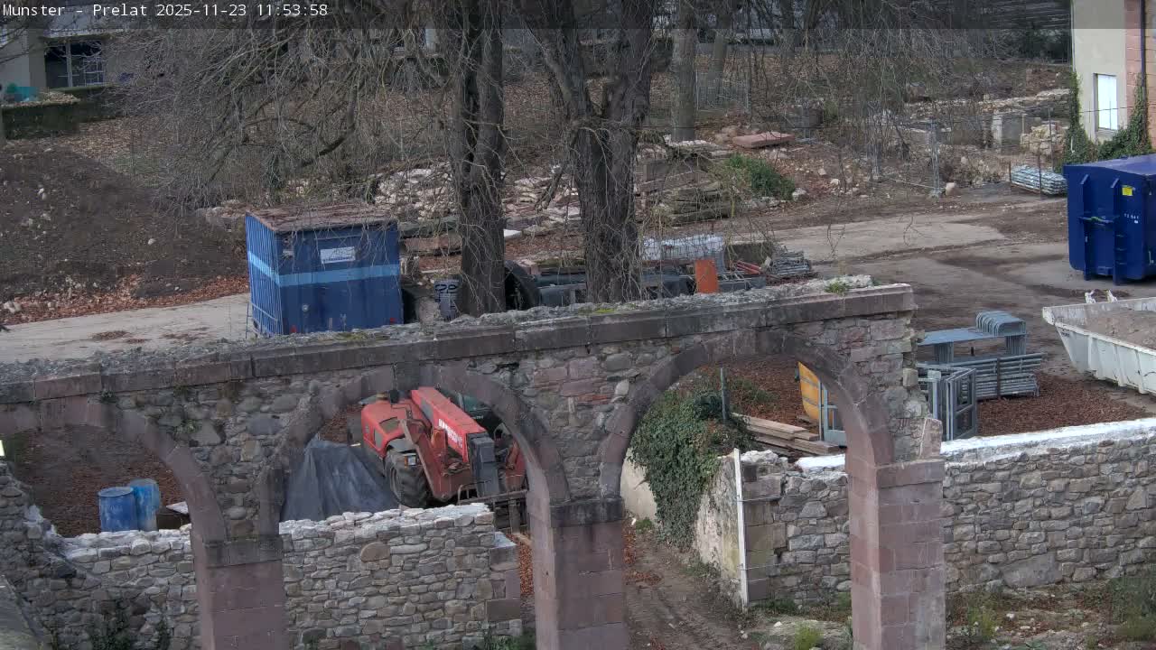 Munster, Ruines de l'Ancienne abbaye Saint Grégoire (Ruins of the Old Abbey of Saint Gregory) & Stork Nest Live Cam - Colmar-Ribeauvillé, Haut-Rhin, Grand Est, France