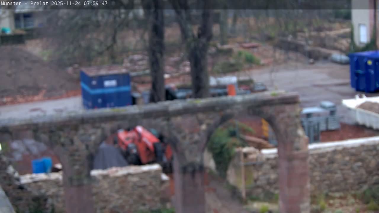 Munster, Ruines de l'Ancienne abbaye Saint Grégoire (Ruins of the Old Abbey of Saint Gregory) & Stork Nest Live Cam - Colmar-Ribeauvillé, Haut-Rhin, Grand Est, France