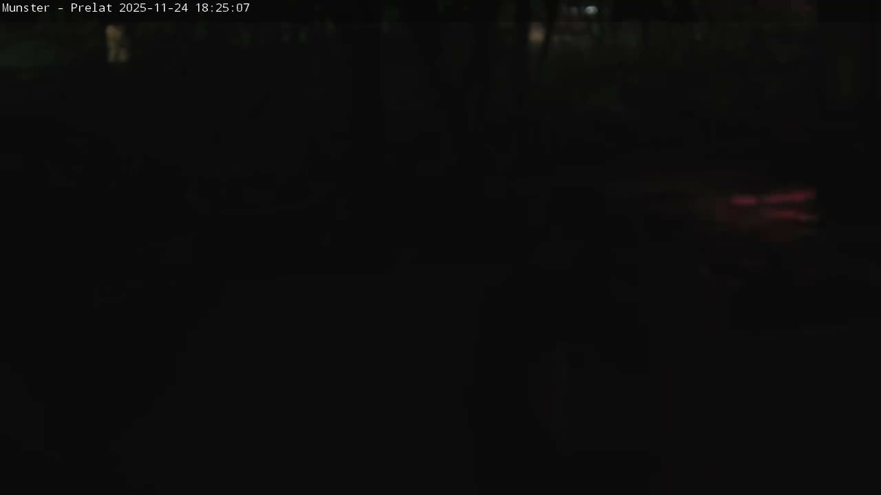 Munster, Ruines de l'Ancienne abbaye Saint Grégoire (Ruins of the Old Abbey of Saint Gregory) & Stork Nest Live Cam - Colmar-Ribeauvillé, Haut-Rhin, Grand Est, France