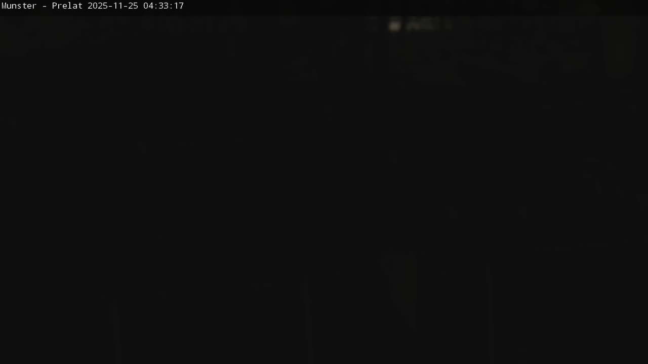 Munster, Ruines de l'Ancienne abbaye Saint Grégoire (Ruins of the Old Abbey of Saint Gregory) & Stork Nest Live Cam - Colmar-Ribeauvillé, Haut-Rhin, Grand Est, France