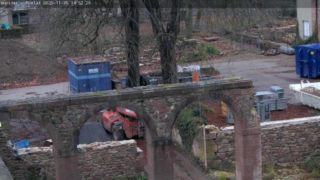 Munster, Ruines de l'Ancienne abbaye Saint Grégoire (Ruins of the Old Abbey of Saint Gregory) & Stork Nest Live Cam - Colmar-Ribeauvillé, Haut-Rhin, Grand Est, France