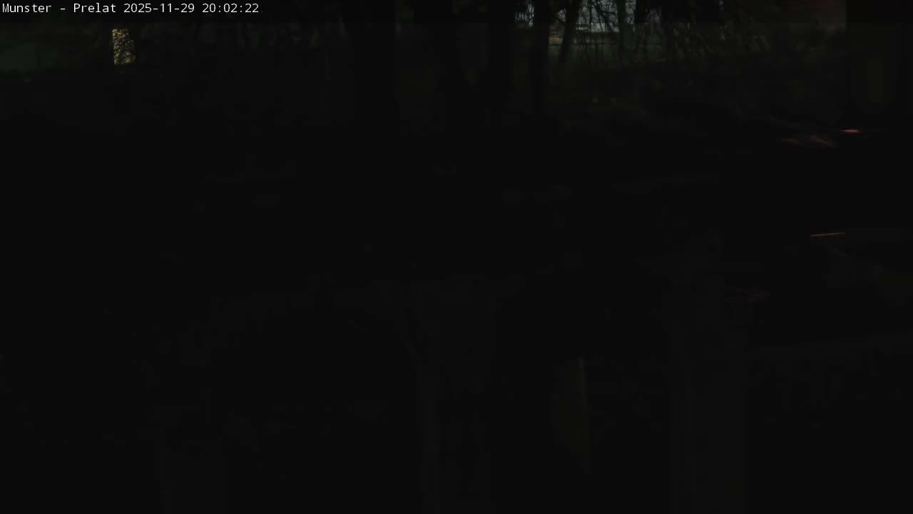 Munster, Ruines de l'Ancienne abbaye Saint Grégoire (Ruins of the Old Abbey of Saint Gregory) & Stork Nest Live Cam - Colmar-Ribeauvillé, Haut-Rhin, Grand Est, France