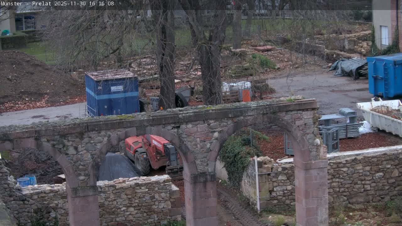 Munster, Ruines de l'Ancienne abbaye Saint Grégoire (Ruins of the Old Abbey of Saint Gregory) & Stork Nest Live Cam - Colmar-Ribeauvillé, Haut-Rhin, Grand Est, France