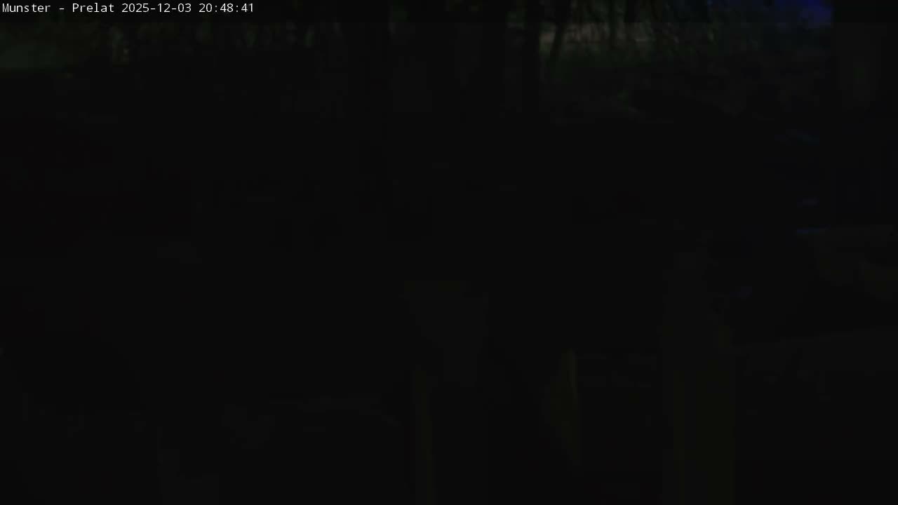 Munster, Ruines de l'Ancienne abbaye Saint Grégoire (Ruins of the Old Abbey of Saint Gregory) & Stork Nest Live Cam - Colmar-Ribeauvillé, Haut-Rhin, Grand Est, France