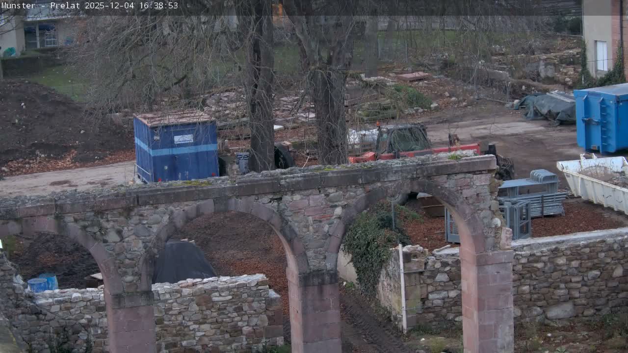 Munster, Ruines de l'Ancienne abbaye Saint Grégoire (Ruins of the Old Abbey of Saint Gregory) & Stork Nest Live Cam - Colmar-Ribeauvillé, Haut-Rhin, Grand Est, France