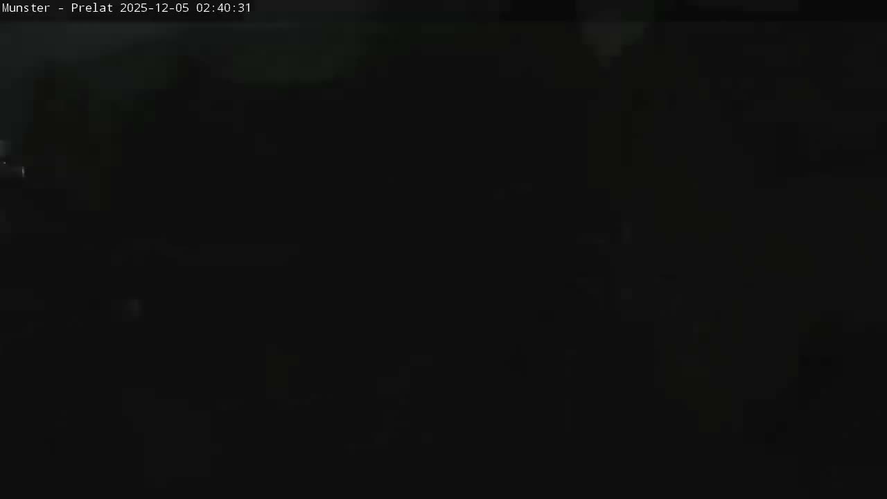 Munster, Ruines de l'Ancienne abbaye Saint Grégoire (Ruins of the Old Abbey of Saint Gregory) & Stork Nest Live Cam - Colmar-Ribeauvillé, Haut-Rhin, Grand Est, France