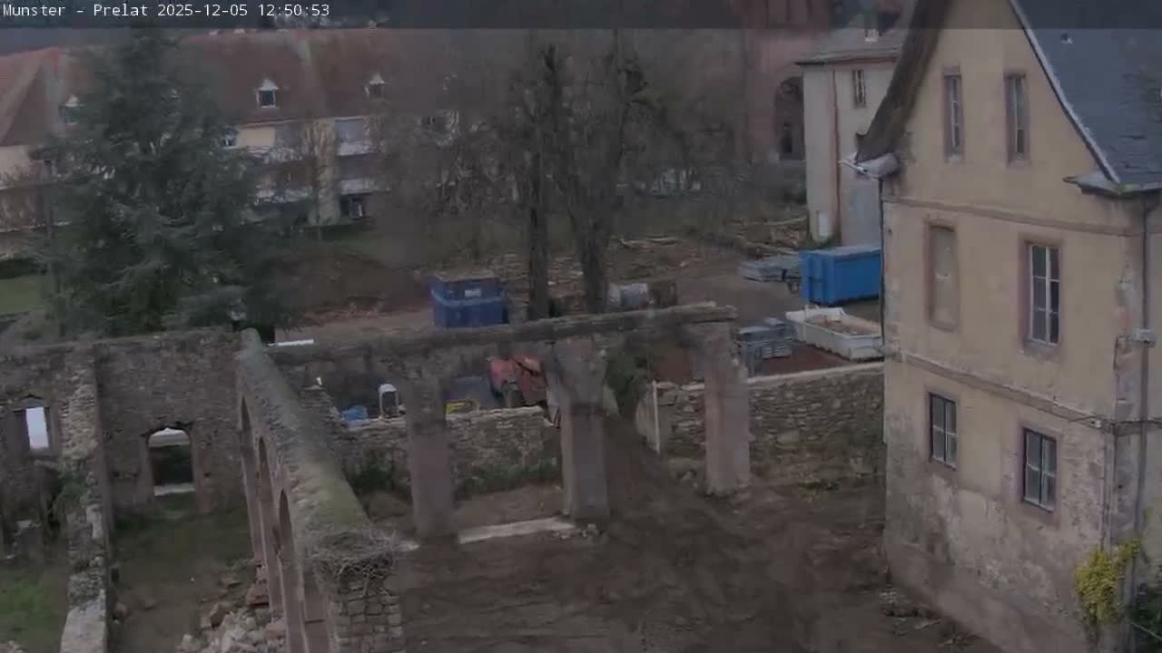 Munster, Ruines de l'Ancienne abbaye Saint Grégoire (Ruins of the Old Abbey of Saint Gregory) & Stork Nest Live Cam - Colmar-Ribeauvillé, Haut-Rhin, Grand Est, France