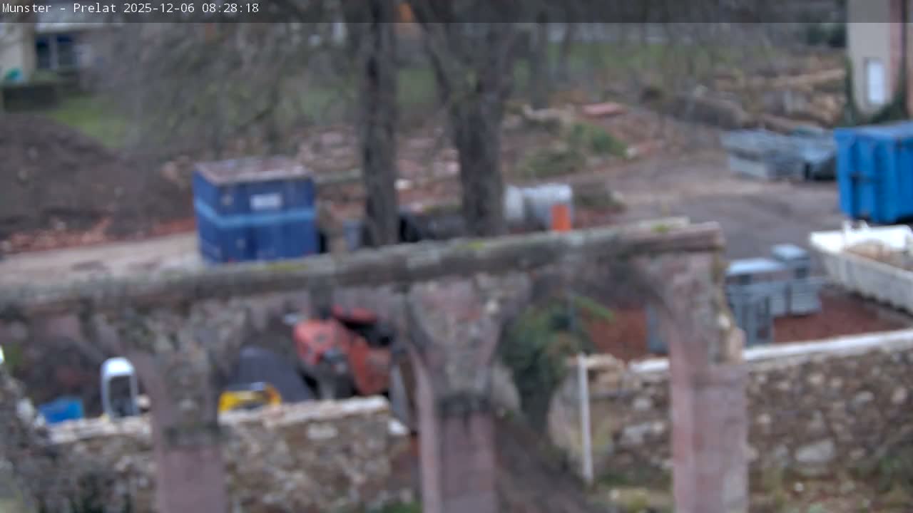 Munster, Ruines de l'Ancienne abbaye Saint Grégoire (Ruins of the Old Abbey of Saint Gregory) & Stork Nest Live Cam - Colmar-Ribeauvillé, Haut-Rhin, Grand Est, France