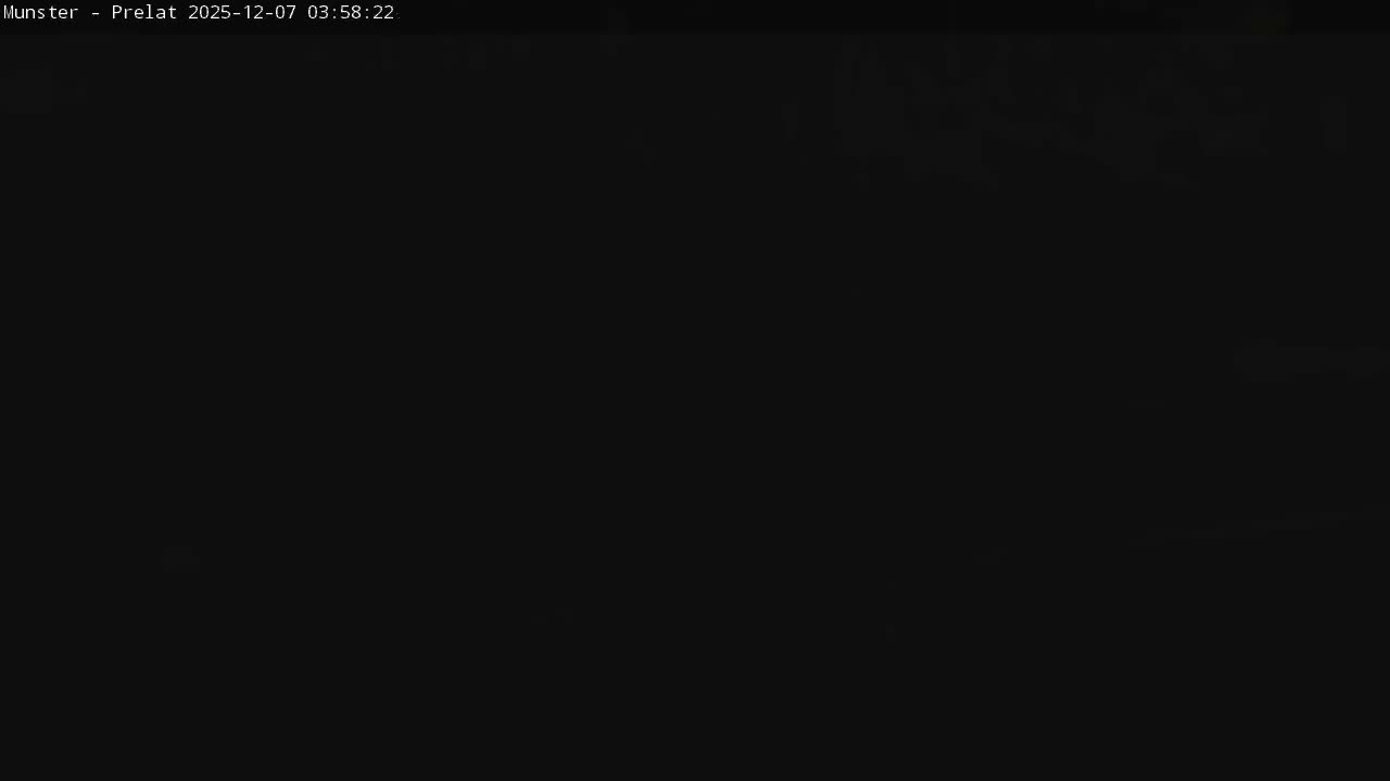 Munster, Ruines de l'Ancienne abbaye Saint Grégoire (Ruins of the Old Abbey of Saint Gregory) & Stork Nest Live Cam - Colmar-Ribeauvillé, Haut-Rhin, Grand Est, France