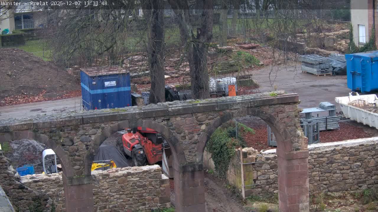 Munster, Ruines de l'Ancienne abbaye Saint Grégoire (Ruins of the Old Abbey of Saint Gregory) & Stork Nest Live Cam - Colmar-Ribeauvillé, Haut-Rhin, Grand Est, France