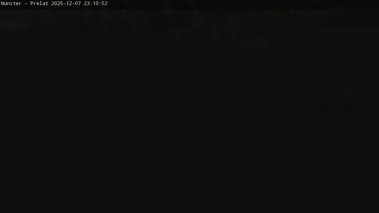 Munster, Ruines de l'Ancienne abbaye Saint Grégoire (Ruins of the Old Abbey of Saint Gregory) & Stork Nest Live Cam - Colmar-Ribeauvillé, Haut-Rhin, Grand Est, France