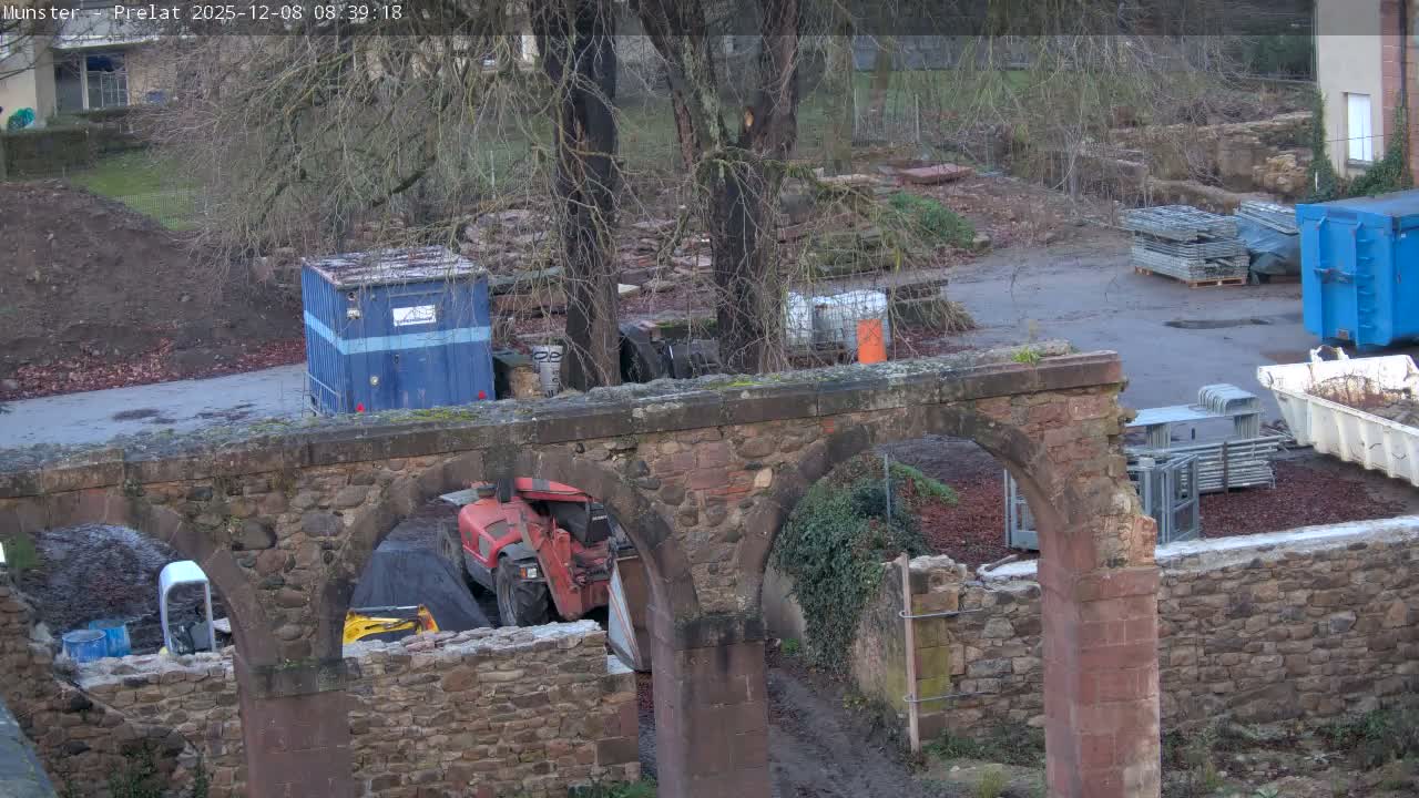 Munster, Ruines de l'Ancienne abbaye Saint Grégoire (Ruins of the Old Abbey of Saint Gregory) & Stork Nest Live Cam - Colmar-Ribeauvillé, Haut-Rhin, Grand Est, France