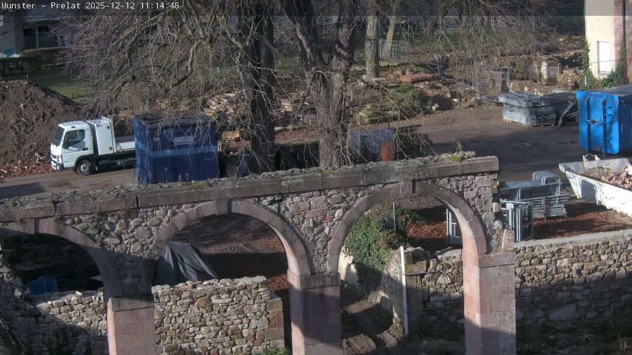 Munster, Ruines de l'Ancienne abbaye Saint Grégoire (Ruins of the Old Abbey of Saint Gregory) & Stork Nest Live Cam - Colmar-Ribeauvillé, Haut-Rhin, Grand Est, France