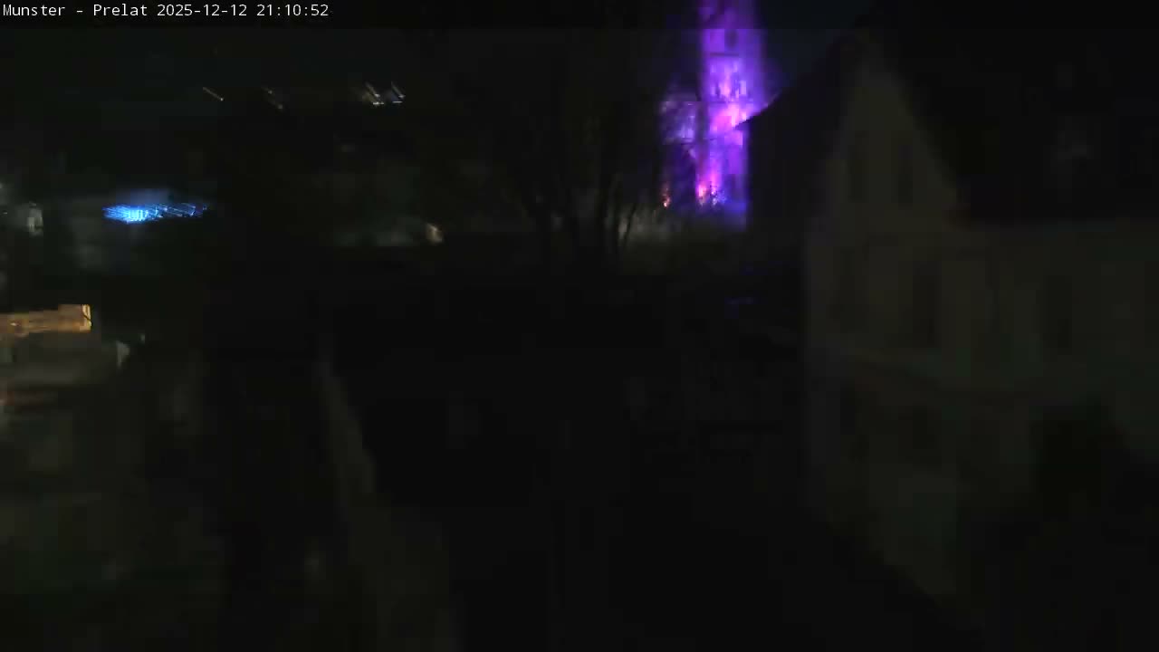 Munster, Ruines de l'Ancienne abbaye Saint Grégoire (Ruins of the Old Abbey of Saint Gregory) & Stork Nest Live Cam - Colmar-Ribeauvillé, Haut-Rhin, Grand Est, France