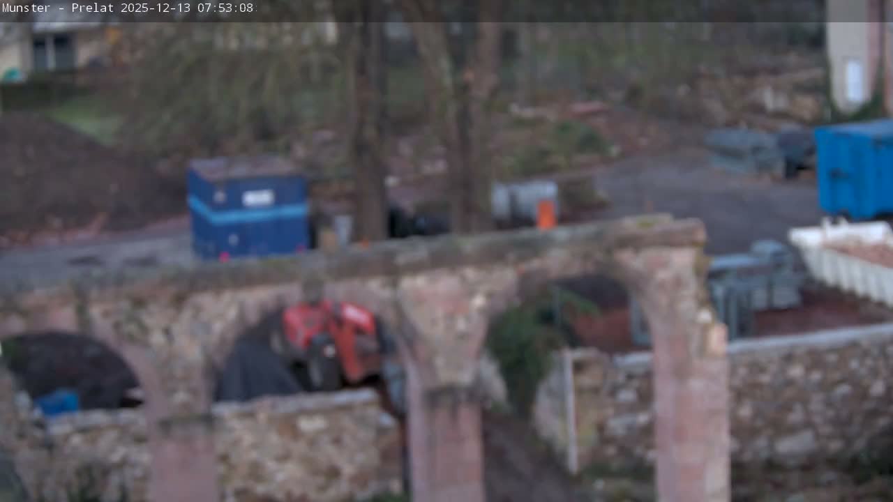 Munster, Ruines de l'Ancienne abbaye Saint Grégoire (Ruins of the Old Abbey of Saint Gregory) & Stork Nest Live Cam - Colmar-Ribeauvillé, Haut-Rhin, Grand Est, France