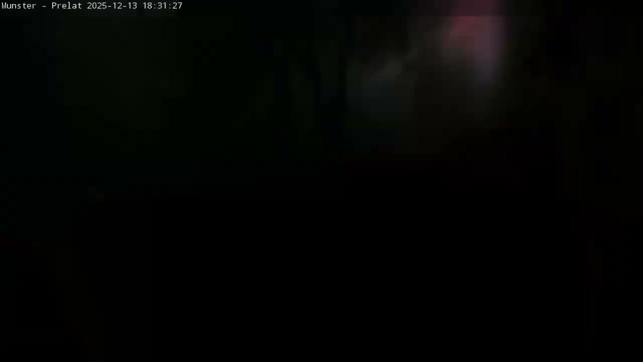 Munster, Ruines de l'Ancienne abbaye Saint Grégoire (Ruins of the Old Abbey of Saint Gregory) & Stork Nest Live Cam - Colmar-Ribeauvillé, Haut-Rhin, Grand Est, France