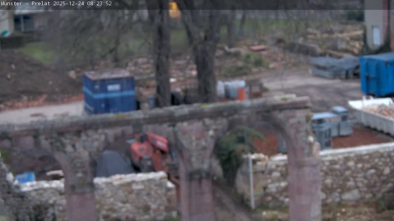 Munster, Ruines de l'Ancienne abbaye Saint Grégoire (Ruins of the Old Abbey of Saint Gregory) & Stork Nest Live Cam - Colmar-Ribeauvillé, Haut-Rhin, Grand Est, France