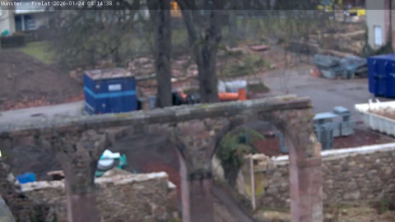 Munster, Ruines de l'Ancienne abbaye Saint Grégoire (Ruins of the Old Abbey of Saint Gregory) & Stork Nest Live Cam - Colmar-Ribeauvillé, Haut-Rhin, Grand Est, France