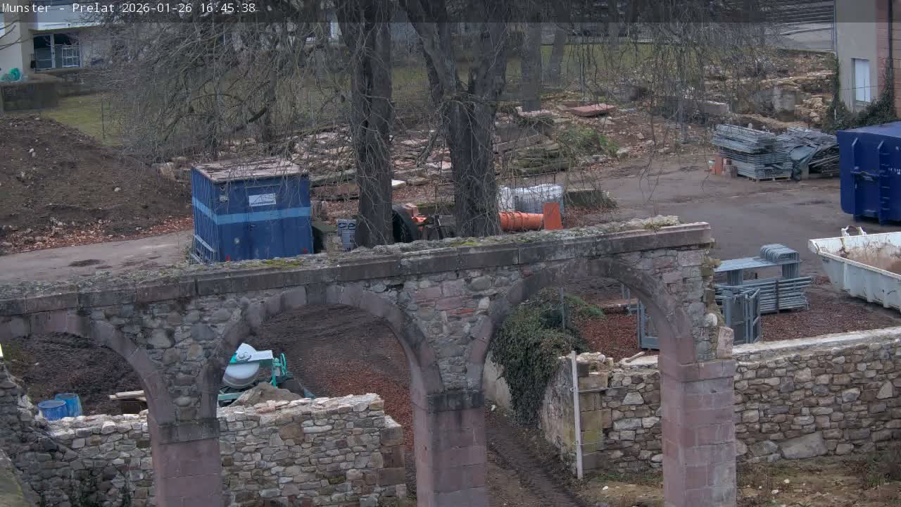 Munster, Ruines de l'Ancienne abbaye Saint Grégoire (Ruins of the Old Abbey of Saint Gregory) & Stork Nest Live Cam - Colmar-Ribeauvillé, Haut-Rhin, Grand Est, France