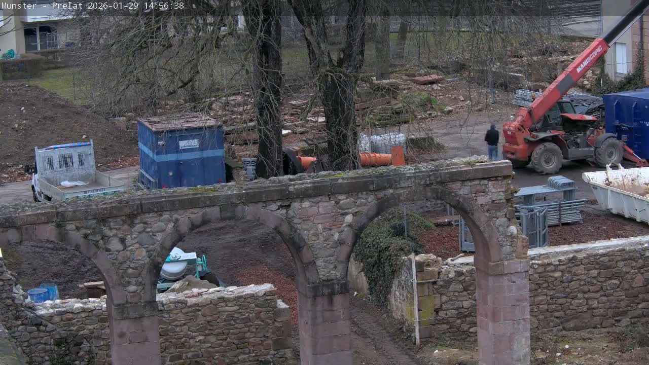 Munster, Ruines de l'Ancienne abbaye Saint Grégoire (Ruins of the Old Abbey of Saint Gregory) & Stork Nest Live Cam - Colmar-Ribeauvillé, Haut-Rhin, Grand Est, France