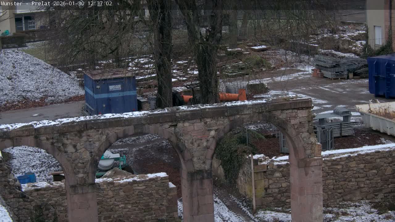 Munster, Ruines de l'Ancienne abbaye Saint Grégoire (Ruins of the Old Abbey of Saint Gregory) & Stork Nest Live Cam - Colmar-Ribeauvillé, Haut-Rhin, Grand Est, France