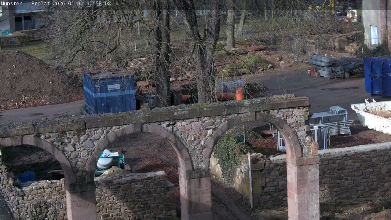 Munster, Ruines de l'Ancienne abbaye Saint Grégoire (Ruins of the Old Abbey of Saint Gregory) & Stork Nest Live Cam - Colmar-Ribeauvillé, Haut-Rhin, Grand Est, France