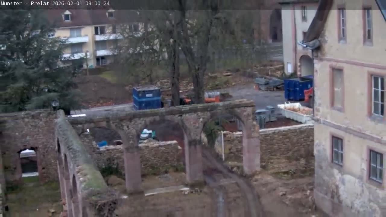 Munster, Ruines de l'Ancienne abbaye Saint Grégoire (Ruins of the Old Abbey of Saint Gregory) & Stork Nest Live Cam - Colmar-Ribeauvillé, Haut-Rhin, Grand Est, France