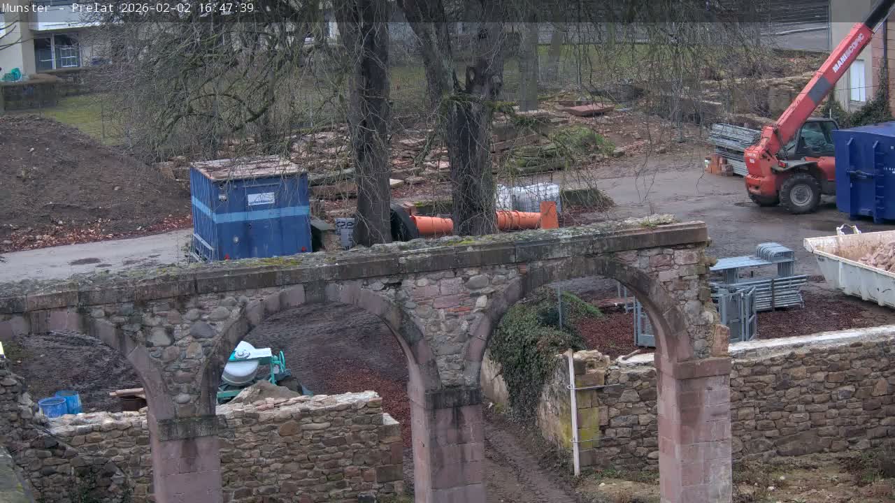 Munster, Ruines de l'Ancienne abbaye Saint Grégoire (Ruins of the Old Abbey of Saint Gregory) & Stork Nest Live Cam - Colmar-Ribeauvillé, Haut-Rhin, Grand Est, France