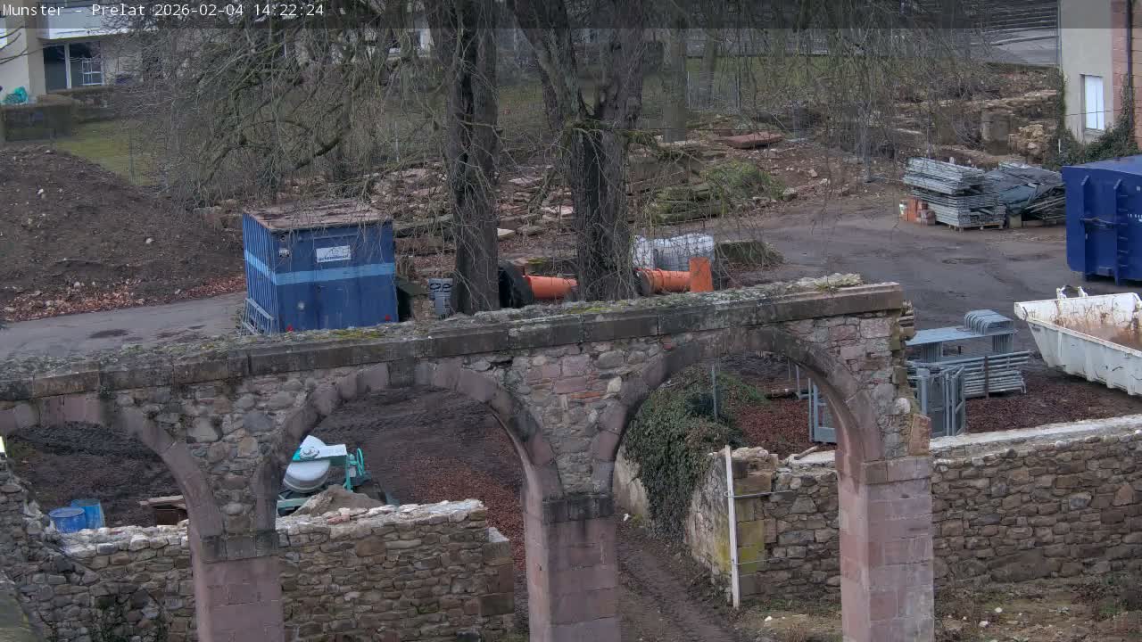 Munster, Ruines de l'Ancienne abbaye Saint Grégoire (Ruins of the Old Abbey of Saint Gregory) & Stork Nest Live Cam - Colmar-Ribeauvillé, Haut-Rhin, Grand Est, France