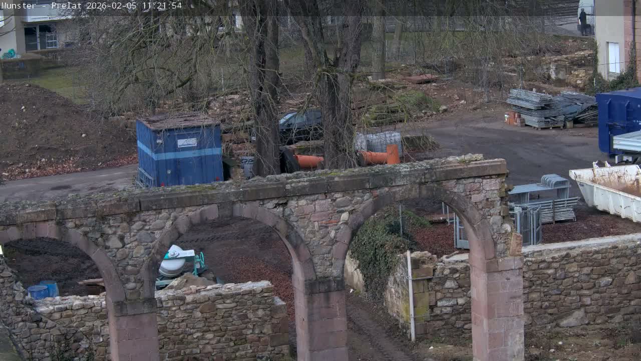 Munster, Ruines de l'Ancienne abbaye Saint Grégoire (Ruins of the Old Abbey of Saint Gregory) & Stork Nest Live Cam - Colmar-Ribeauvillé, Haut-Rhin, Grand Est, France