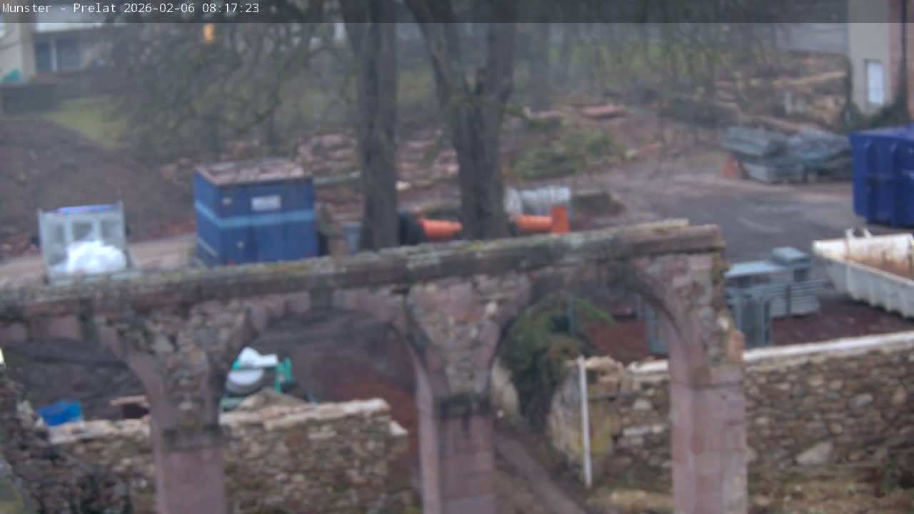 Munster, Ruines de l'Ancienne abbaye Saint Grégoire (Ruins of the Old Abbey of Saint Gregory) & Stork Nest Live Cam - Colmar-Ribeauvillé, Haut-Rhin, Grand Est, France