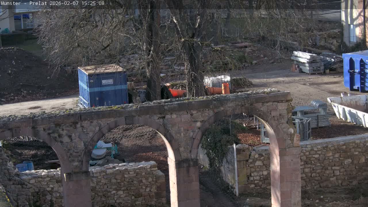 Munster, Ruines de l'Ancienne abbaye Saint Grégoire (Ruins of the Old Abbey of Saint Gregory) & Stork Nest Live Cam - Colmar-Ribeauvillé, Haut-Rhin, Grand Est, France