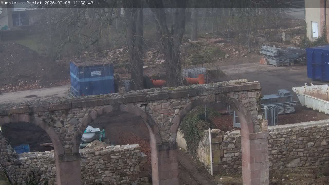 Munster, Ruines de l'Ancienne abbaye Saint Grégoire (Ruins of the Old Abbey of Saint Gregory) & Stork Nest Live Cam - Colmar-Ribeauvillé, Haut-Rhin, Grand Est, France