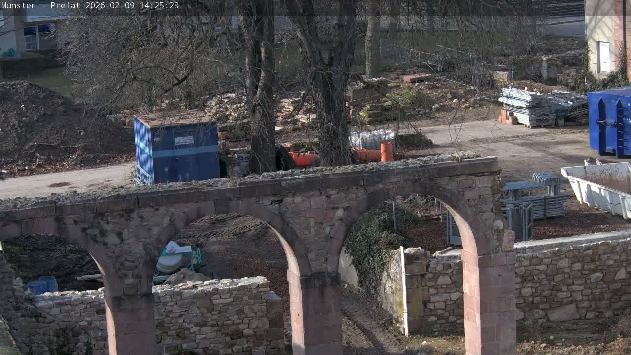 Munster, Ruines de l'Ancienne abbaye Saint Grégoire (Ruins of the Old Abbey of Saint Gregory) & Stork Nest Live Cam - Colmar-Ribeauvillé, Haut-Rhin, Grand Est, France