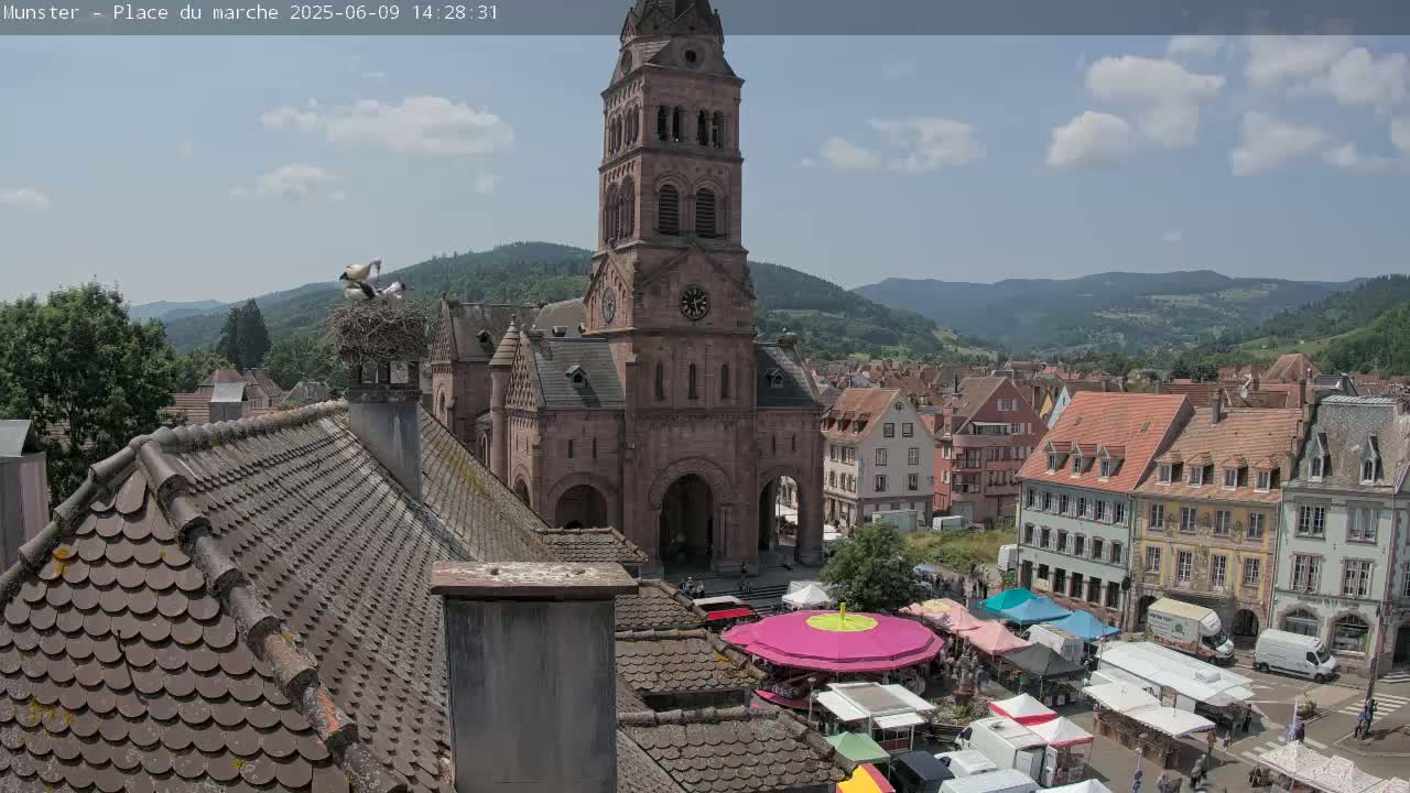A partly cloudy day reveals a town square market scene in a European village, dominated by a tall church tower with storks nesting on a nearby chimney.