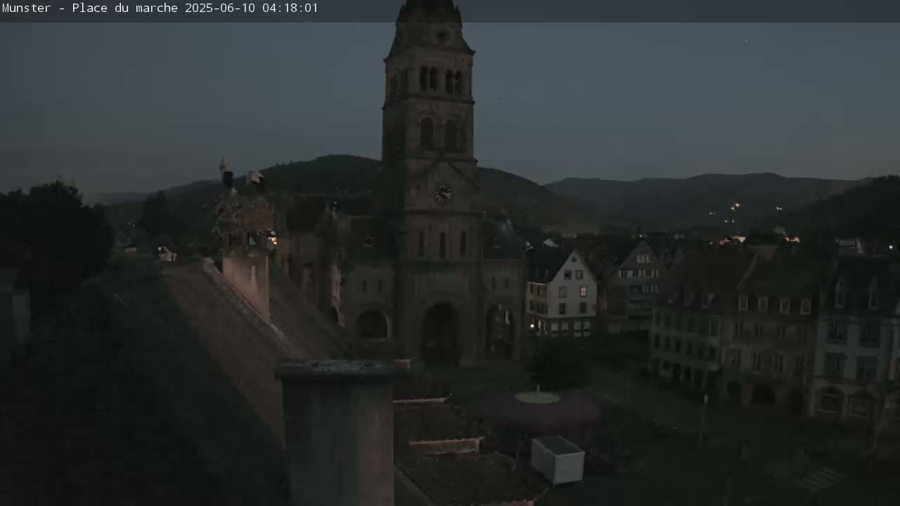 Munster,Place du Marché ( Market Square) & La Fontaine Lion Fountain / Église protestante (Protestant Church) Live Cam -  Colmar-Ribeauvillé, Haut-Rhin, Grand Est, France