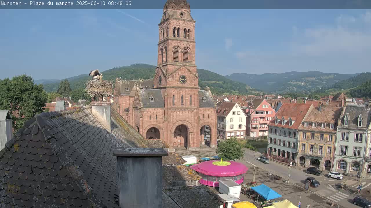 Munster,Place du Marché ( Market Square) & La Fontaine Lion Fountain / Église protestante (Protestant Church) Live Cam -  Colmar-Ribeauvillé, Haut-Rhin, Grand Est, France